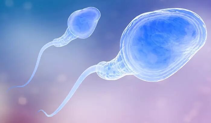 Spermatozoer kan være tilstede i en manns pre-ejakulat